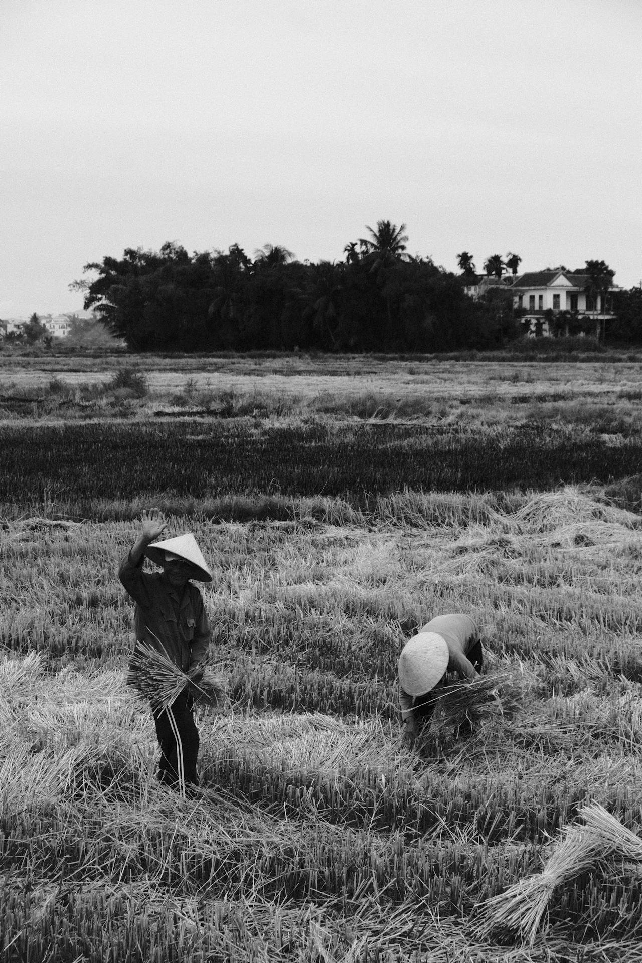 Cisco Shares Rise on Earnings and Revenue Beat